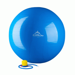 Black Mountain Products 65cm Red Gym Ball 2000 lbs Static Strength Exercise Stability Ball with Pump&#44; Red - 65 cm