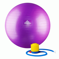 Black Mountain Products PSPURP 75CM 2000 lbs Professional Grade Stability Ball with Pump&#44; Purple - 75 cm